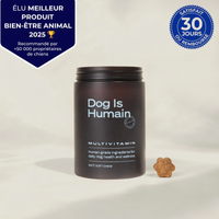 Croquette multivitamine pour chiens
