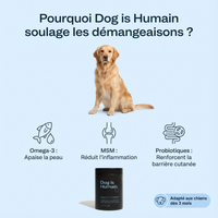 Croquette multivitamine pour chiens