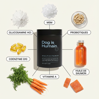 Croquettes multivitamines