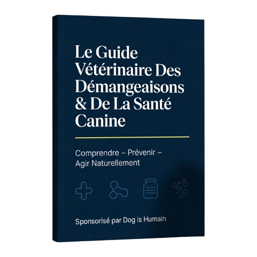 Guide Vétérinaire Anti-Démangeaisons