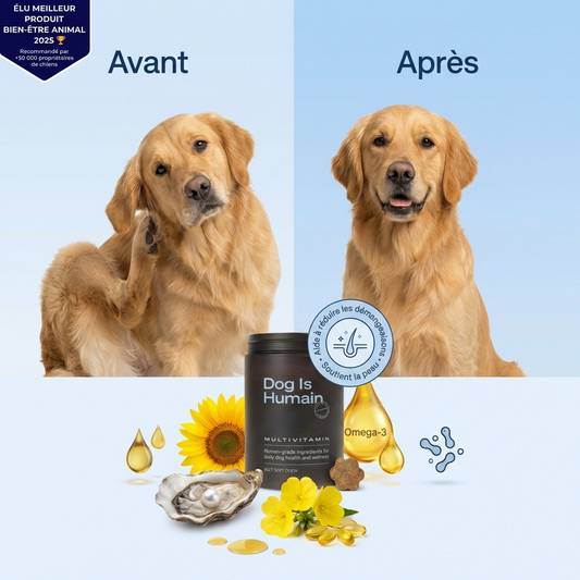 Friandises Anti-Démangeaisons, Soulage en 3 à 6 semaines