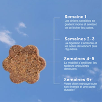 Croquettes multivitamines